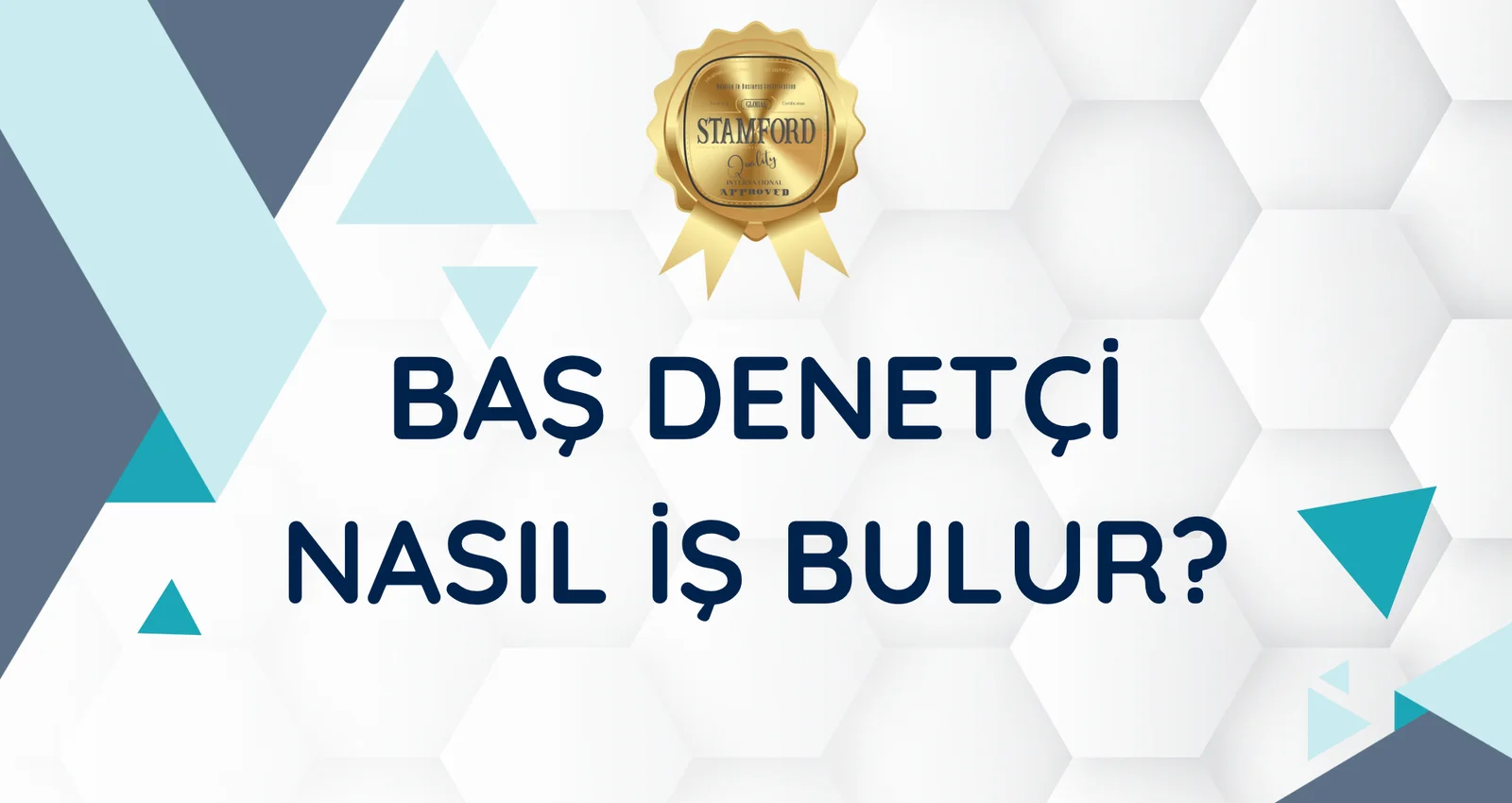 Baş Denetçi Nasıl iş Bulur?