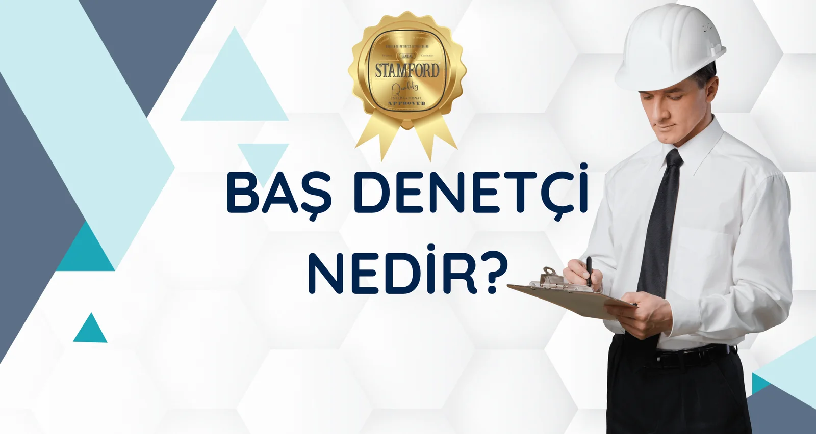 Baş Denetçi Nedir? Kime Baş Denetçi Denir?