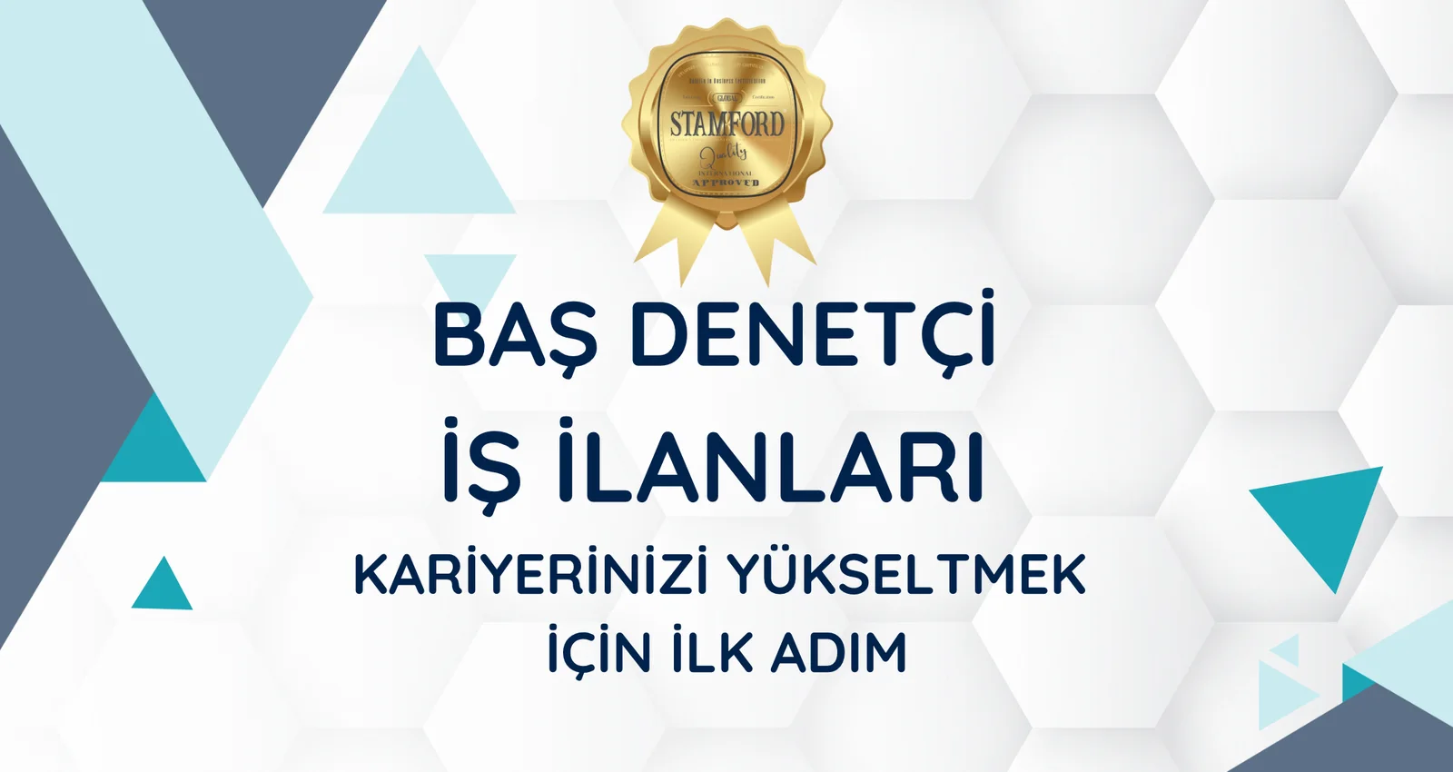 Baş Denetçi İş İlanları Kariyerinizi Yükseltmek İçin İlk Adım