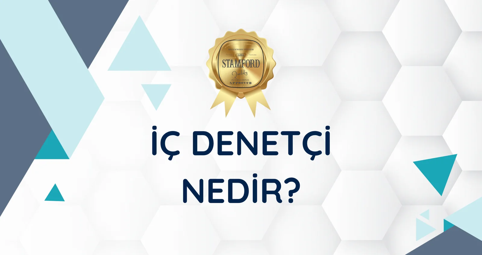 Yeni Mesleğim Stamford Quality İÇ DENETÇİ NEDİR?