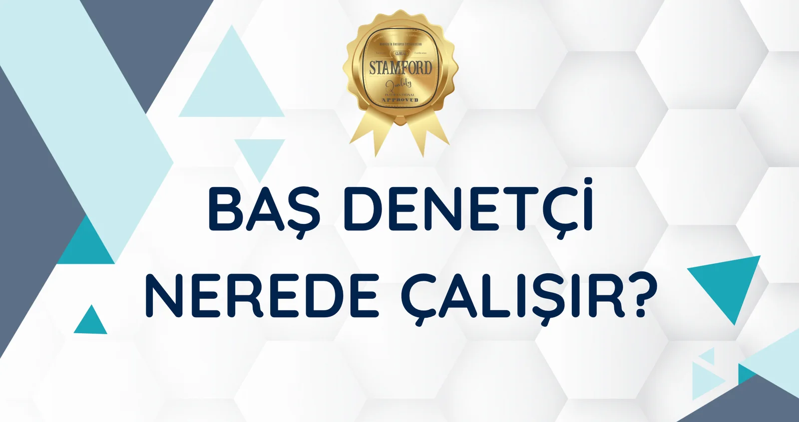 Baş Denetçi Nerede Çalışır?