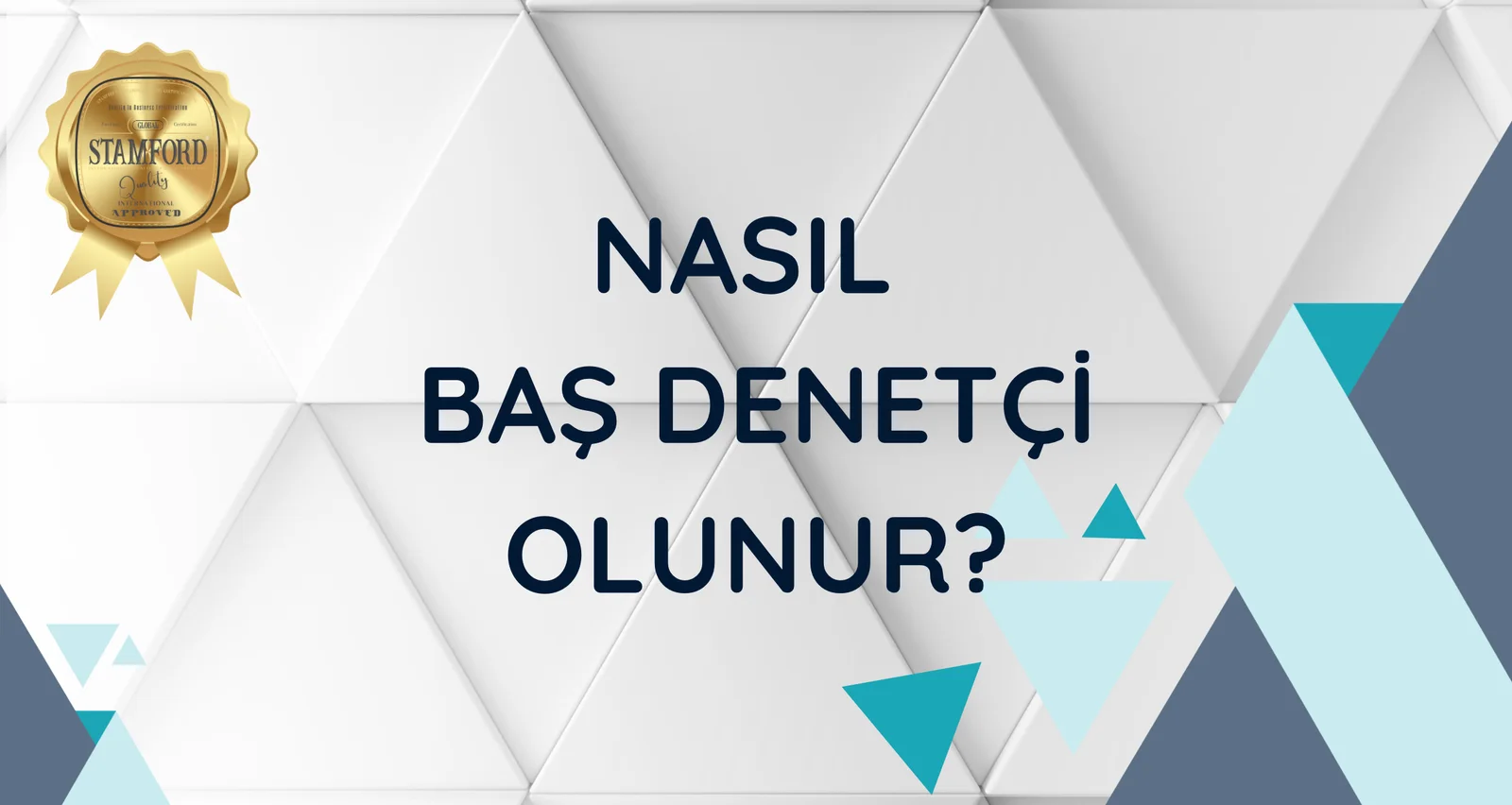 Nasıl Baş Denetçi Olunacağına Dair Tüm Sorularınızın Cevabı bu yazıda