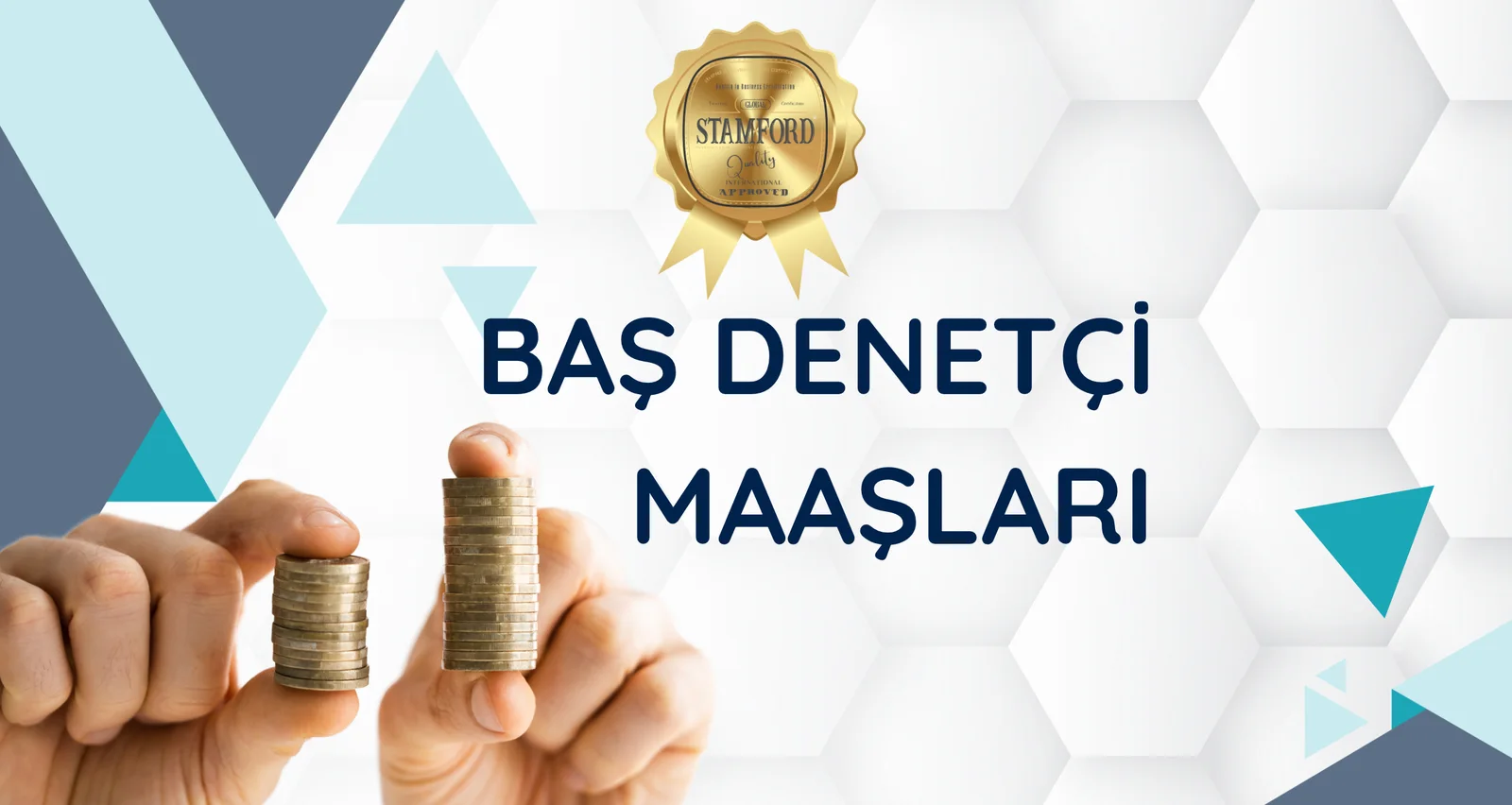 Baş Denetçi Maaşları