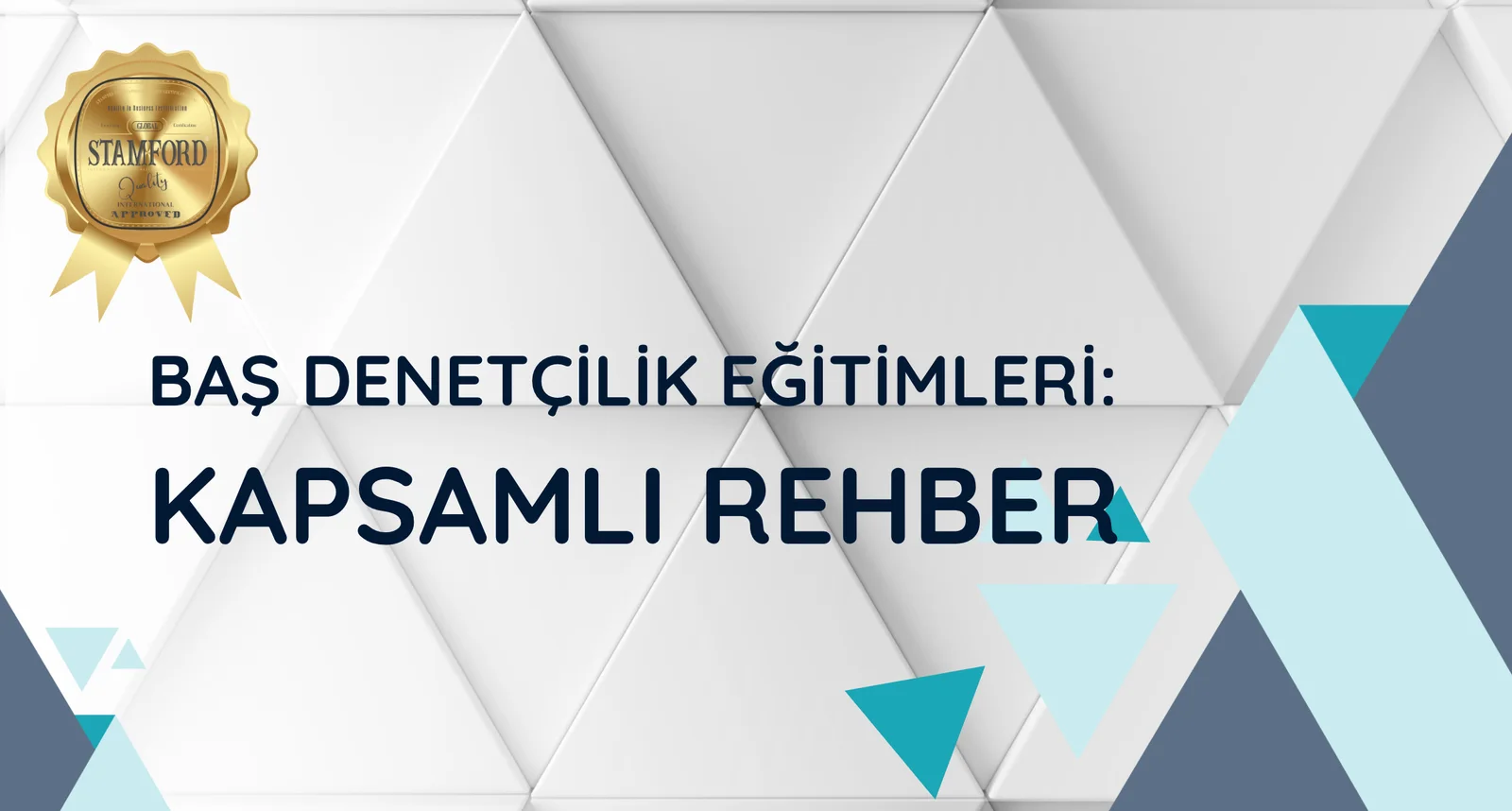 Yeni Mesleğim Baş Denetçilik Eğitimleri: Kapsamlı Rehber