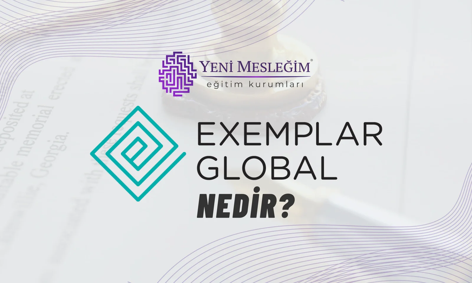 Exemplar Global Nedir? | YENİ MESLEĞİM™